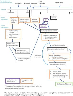 Surfacing undiagnosed disease: consideration, counting and coding